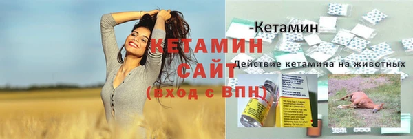 крисы Вязники