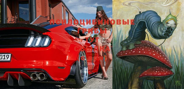 крисы Вязники