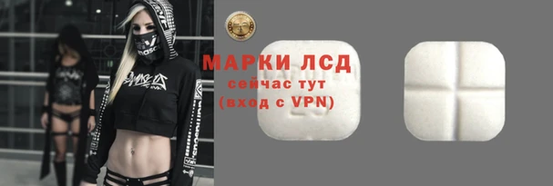 скорость Вяземский