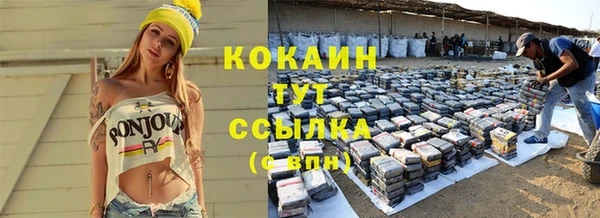 сатива Вязьма