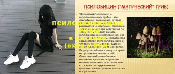 скорость Вяземский
