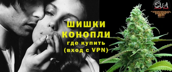 сатива Вязьма