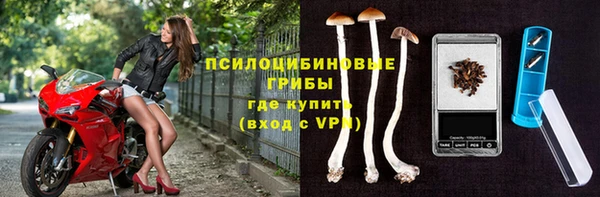 крисы Вязники
