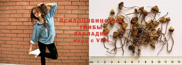 сатива Вязьма