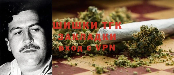 сатива Вязьма