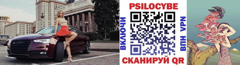 мега маркетплейс  Чебоксары  Псилоцибиновые грибы Psilocybine cubensis 
