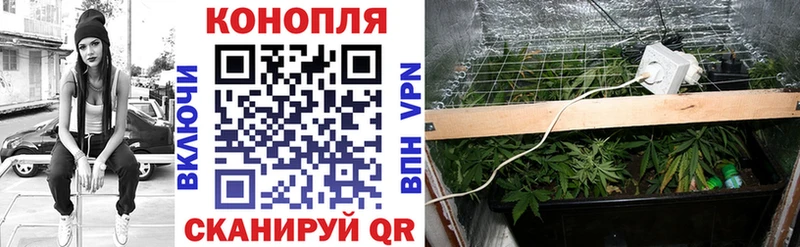Каннабис тримм  Чебоксары 